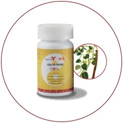 GUIPI WAN 360 pílulas Taimin